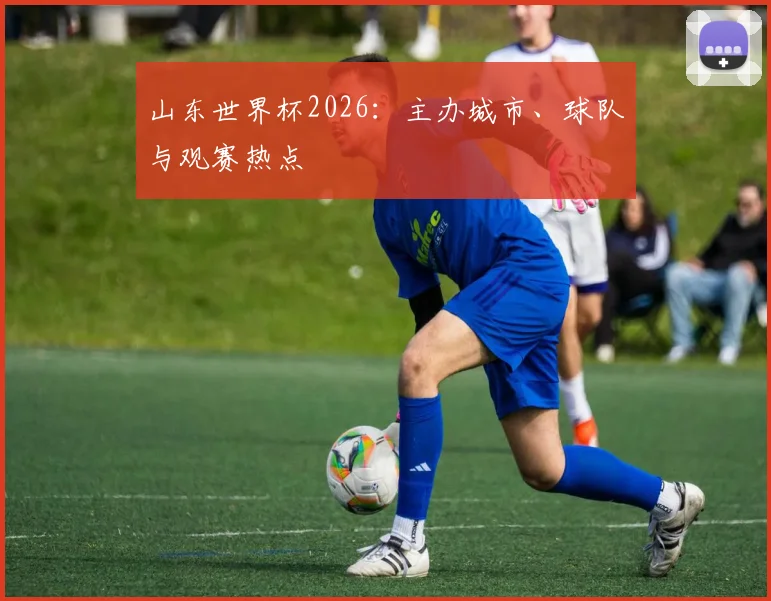 山东世界杯2026：主办城市、球队与观赛热点