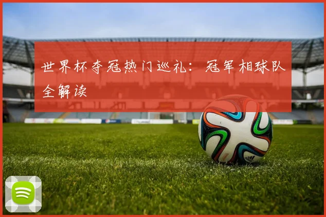 世界杯夺冠热门巡礼：冠军相球队全解读