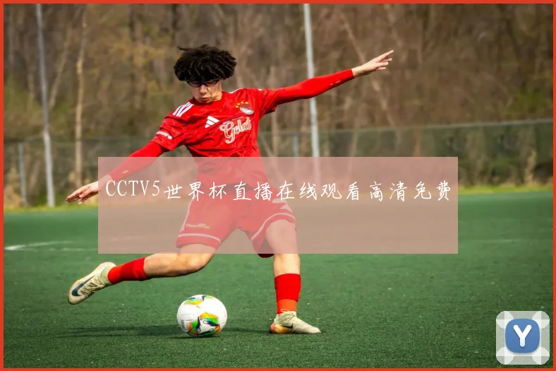 CCTV5世界杯直播在线观看高清免费