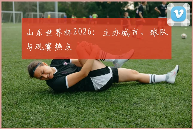 山东世界杯2026：主办城市、球队与观赛热点